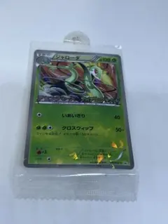 ジャローダ P BW ラセンフォース・ライデンナックル キャンペーン