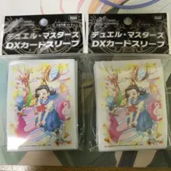 即購入⭕️】デュエマ 滝川るる＆ラフルル ー閃光のヒロインー 2枚