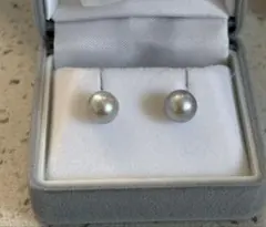ブルーグレー天然アコヤ真珠ピアス