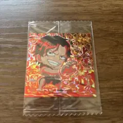 【匿名発送】 ワンピース ウエハース シール ポートガスDエース SGR