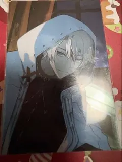 クレイジーラクーン　カード