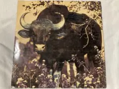 Item thumbnail for item 3907a921-2547-4060-af66-e8e8b8ab433c