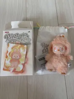 2025年最新】POPMart labubu シークレットの人気アイテム - メルカリ