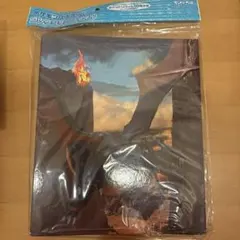 ポケモンカードゲーム 色違いリザードン　コレクションファイルのサムネイル
