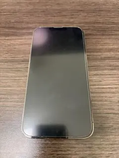 iPhone13pro 本体 ジャンク 背面割れ ヒビ