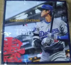 Item thumbnail for item 2c7090b6-97be-41ca-9b70-a773a7cc3ca8