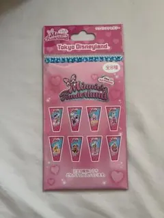 パルパルーザ　ワッペンアクセサリー　未開封　ランダム　ミニーのファンダーランド