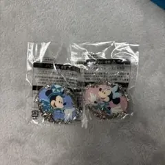 アブーズバザール ピンバッジ 25周年 ディズニーシー ミッキーミニー ミキミニのサムネイル
