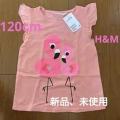 フラミンゴイラスト ノースリーブトップス