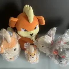 ポケモンぬいぐるみ ヒスイウインディ ガーディ おまけ付き5点セット