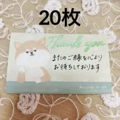 66 手書きサンキューカード 柴犬20枚 感謝カードメッセージカード