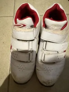 Item thumbnail for item c34a6e2b-4243-4065-91f9-e25cd444496c