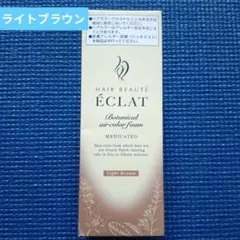 ヘアボーテ エクラ ボタニカル エアカラーフォームEX ライトブラウンのサムネイル