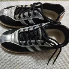 太極拳　シーズ　23.0EE