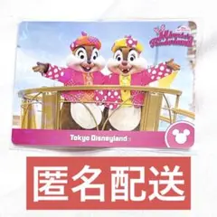 ミニーのファンダーランド パルパルーザ コレクションカード チップ&デール