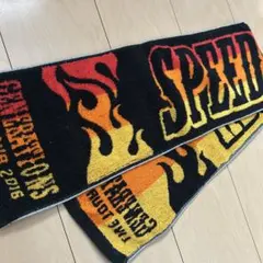 Item thumbnail for item 2d2b18d4-9ea3-4929-ad31-05ec61bb7dbc