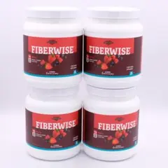 FIBERWISE DNAプラス メラルーカ 腸活 まとめ売り 核酸 - メルカリ