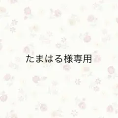 たまはる様専用