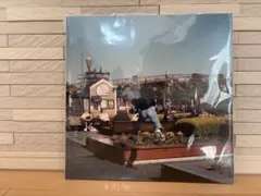 【新品未開封】サニーデイ・サービス - サニービート LPレコード