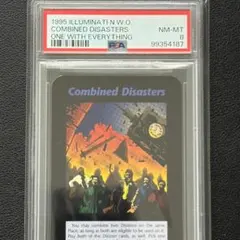 その他 Combined Disasters PSA8 INWO Combined Disasters PSA8 INWO - メルカリ
