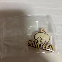 MINITEEN ミニティーン　DK