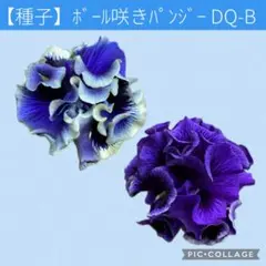 じゃくそん様 リクエスト 3点 まとめ商品