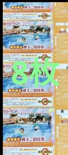 東京サマーランド 株主優待 春秋限定ワンデイパス 8枚のサムネイル