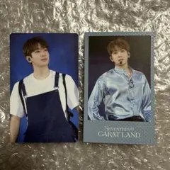 ウォヌ CARATLAND 2024 トレカ VOD特典 デジタルコード