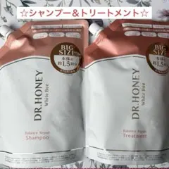 ⭐️新品⭐️DR.HONEY バランスリペア　シャンプー＆トリートメントセット