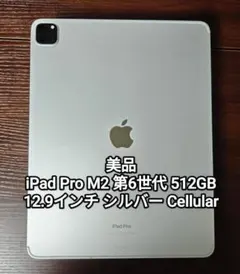 Apple iPad Pro 第四世代 M2 1TB シルバー 箱あり - メルカリ