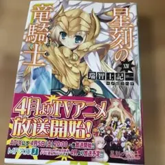 星刻の竜騎士 XIV