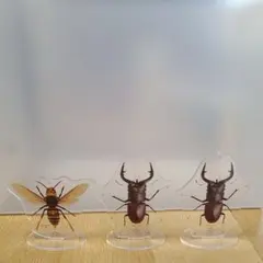 Item thumbnail for item c89e5091-1066-4692-af53-2fd263d2091d