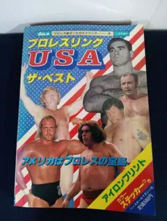 ベースボールマガジンプロレス＆ボクシング1965年【5月号欠】 - メルカリ