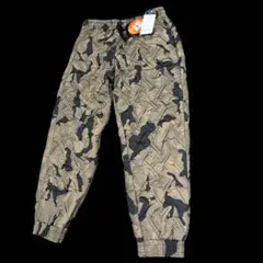 Item thumbnail for item 62657f79-6b5d-43f1-97af-1732afd3a8ea