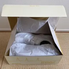 Item thumbnail for item a638bcfb-f003-4284-9509-b29d0a412f64