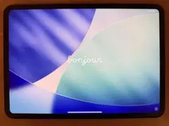 Apple M4 iPad Pro スペースブラック 512GB