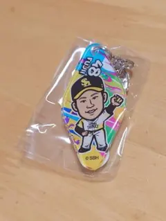 ♡福岡ソフトバンクホークス