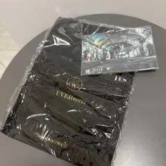 Item thumbnail for item ecb02712-e661-4043-a09c-0eb7eece8189