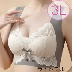 シームレスブラ ノンワイヤーブラ ナイトブラ 3L 小さく見せるブラ 授乳 新品