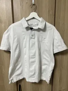 Item thumbnail for item 57f2f80c-8d2e-4701-be07-ce1d820d7f90