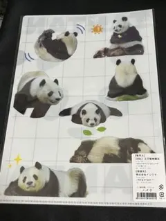 2026年最新】タンタン 王子動物園 パンダの人気アイテム - メルカリ