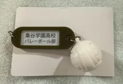 ハイキュー!! トレーディング高校名付き 鍵チャームキーホルダー 梟谷学園高校