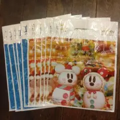 この時期にピッタリ！東京ディズニーランド クリスマスショッパー 10枚セット
