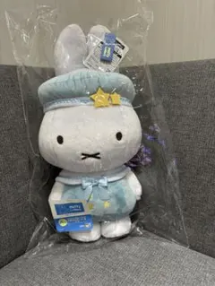 Item thumbnail for item 4ca22de8-9a93-4e6f-971f-b0fe811ec1cd