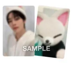 Stray Kids スキズ トレカ タワレコ エコパ 特典 アイエン