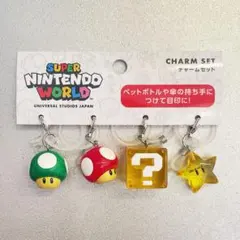 最安値　USJ限定 新品未使用 ユニバ⭐︎スーパーマリオ チャームセット