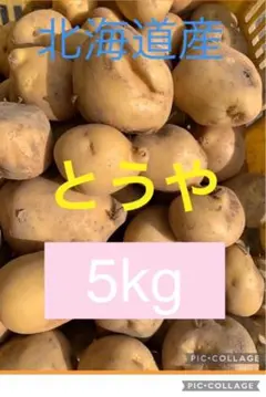 北海道産じゃがいも とうや 3kg - メルカリ
