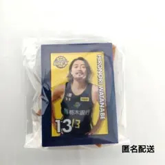 宇都宮ブレックス　2025-26選手ミニチュアアートイーゼル　渡邊裕規選手