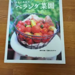 いつもとれたて！ベランダ菜園のサムネイル