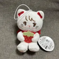 グラ15様 リクエスト 2点 まとめ商品